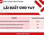 BIỂU MẪU LÃI SUẤT